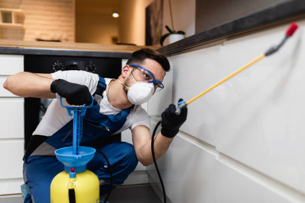 Pest Control for Restaurants in Kensington, CT