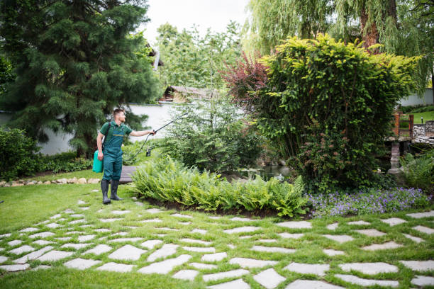 Best Ant Control Services  in Kensington, CT