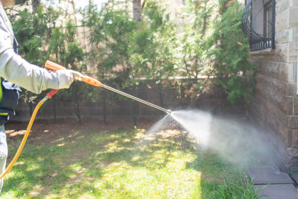 Best Mosquito Control Services  in Kensington, CT