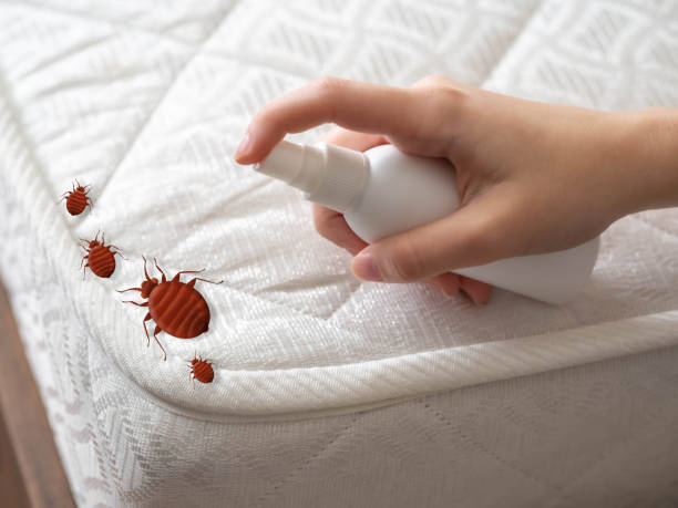Best Commercial Pest Control Services  in Kensington, CT