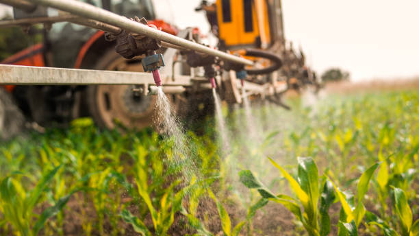 Best Pest Control for Businesses  in Kensington, CT